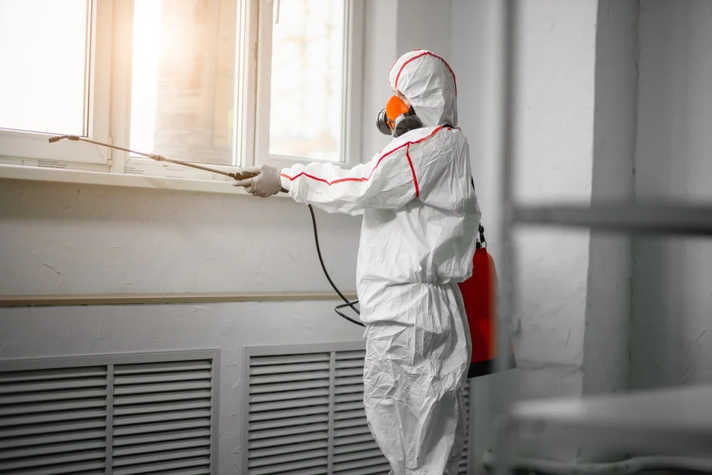 Professional mold remediation services in Camden, OH
